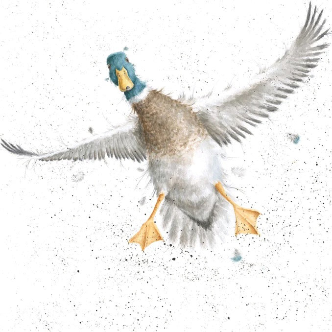Coming in to Land - Wrendale Designs by Hannah Dale