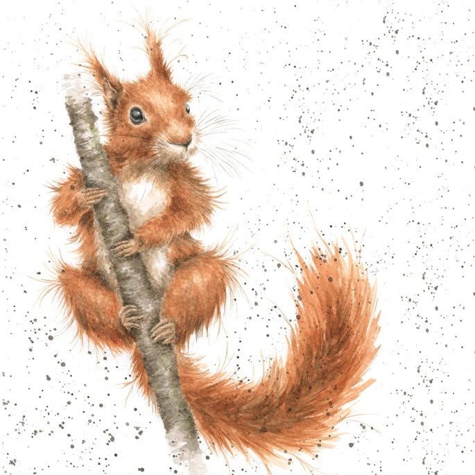 Tufty - Wrendale Designs by Hannah Dale