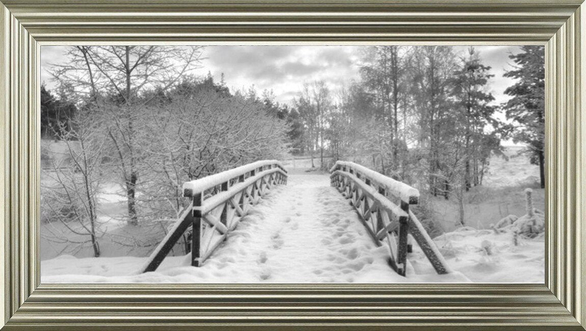 Snowy Path Black and White