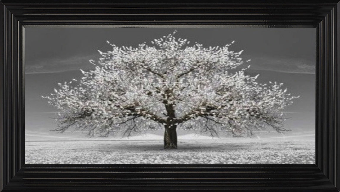 White Cherry Blossom Tree