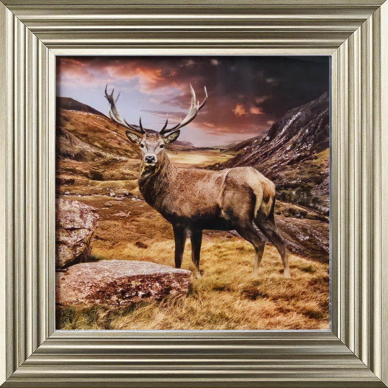Stag
