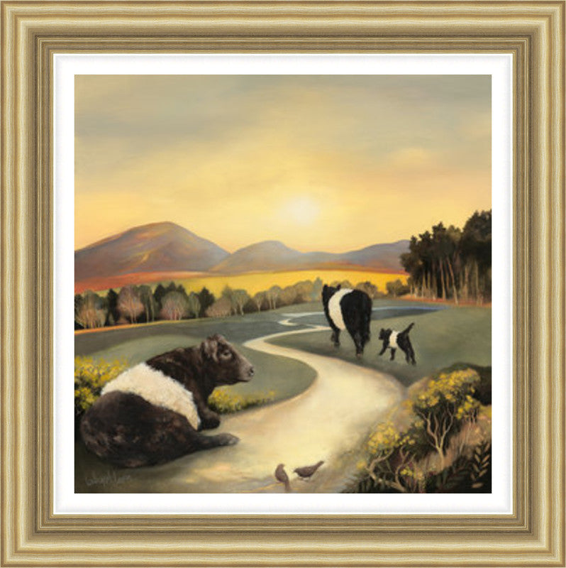 Belties In The Morning Light by McLaren