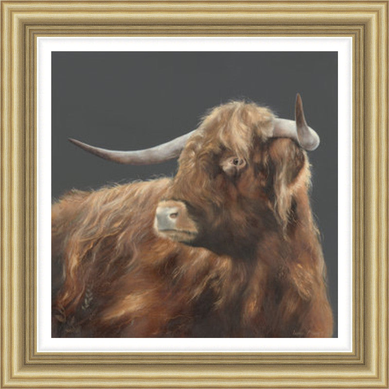 Angus by Lesley McLaren