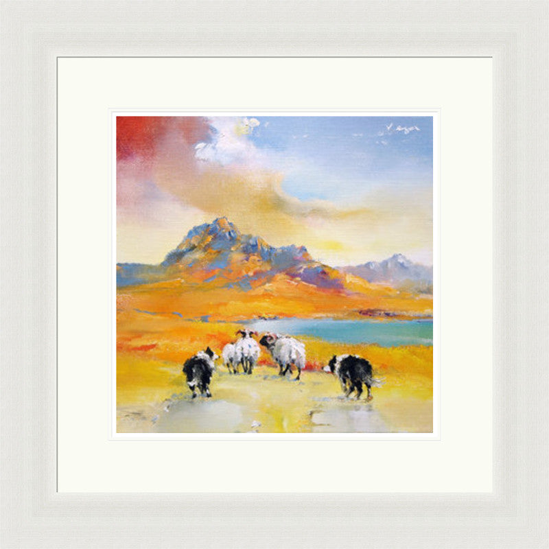 Gathering the Lambs By Vega