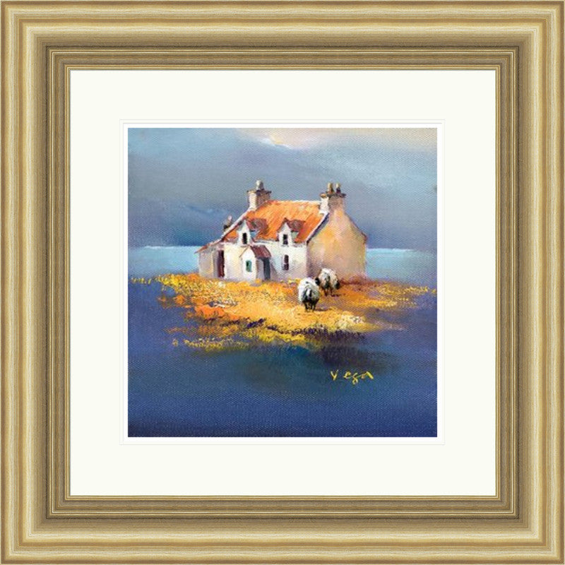 Nine Points Of The Law By Vega