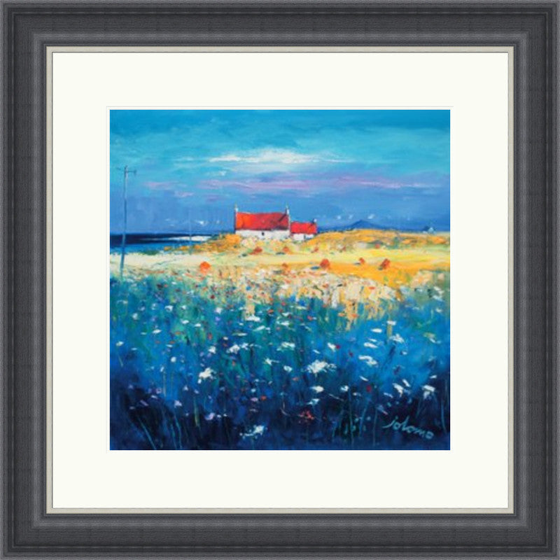 Hayfield, Isle of Tiree, Looking to Ben More by Jolomo