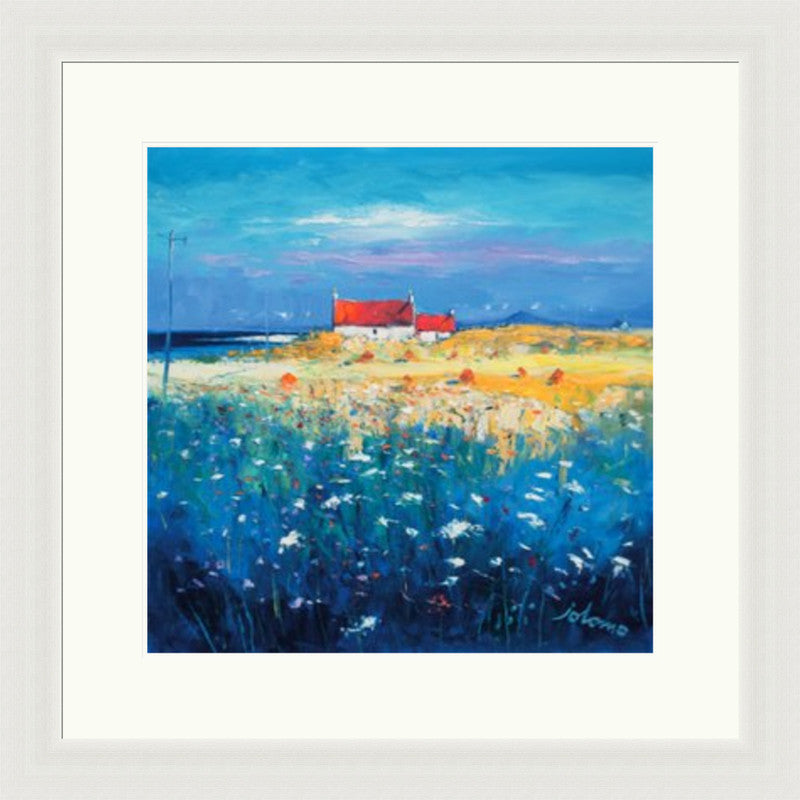 Hayfield, Isle of Tiree, Looking to Ben More by Jolomo