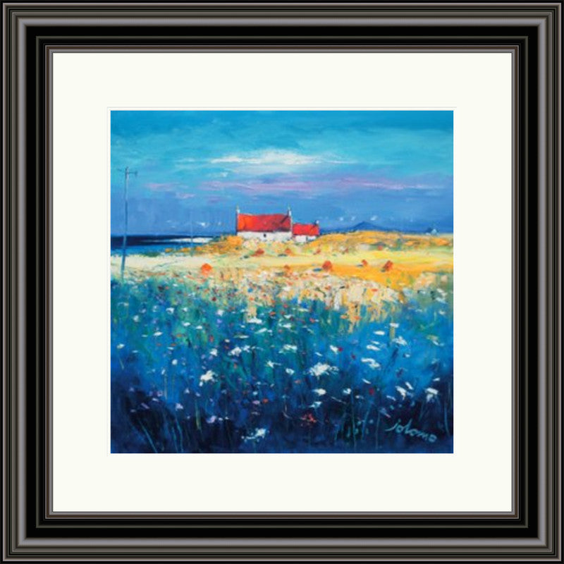 Hayfield, Isle of Tiree, Looking to Ben More by Jolomo