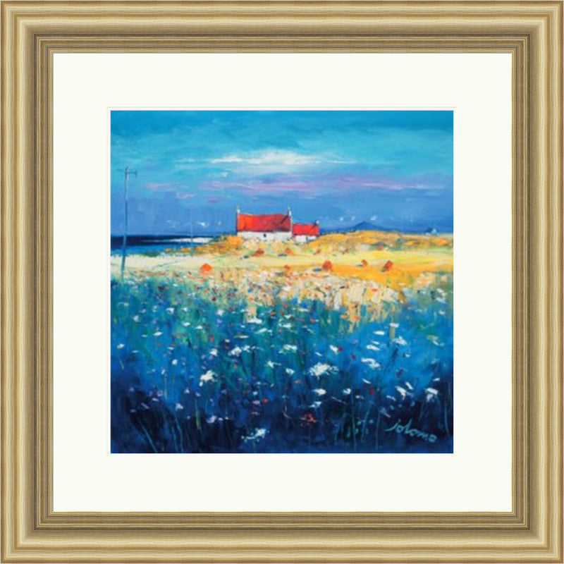 Hayfield, Isle of Tiree, Looking to Ben More by Jolomo