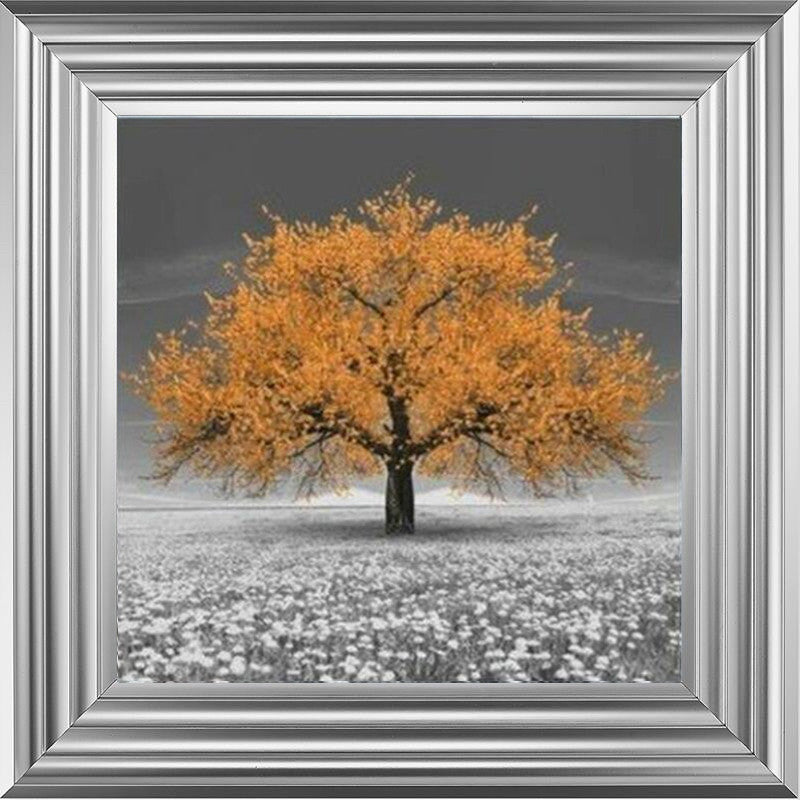 Orange Cherry Blossom Tree
