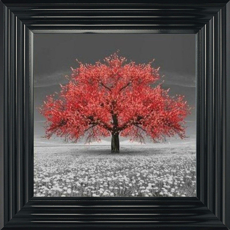 Red Cherry Blossom Tree