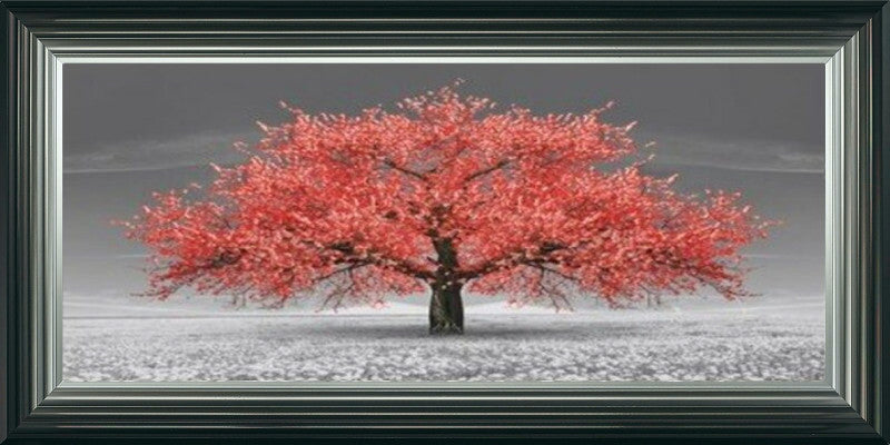 Red Cherry Blossom Tree