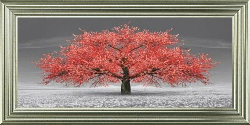 Red Cherry Blossom Tree