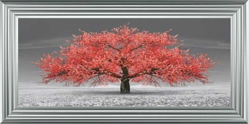 Red Cherry Blossom Tree