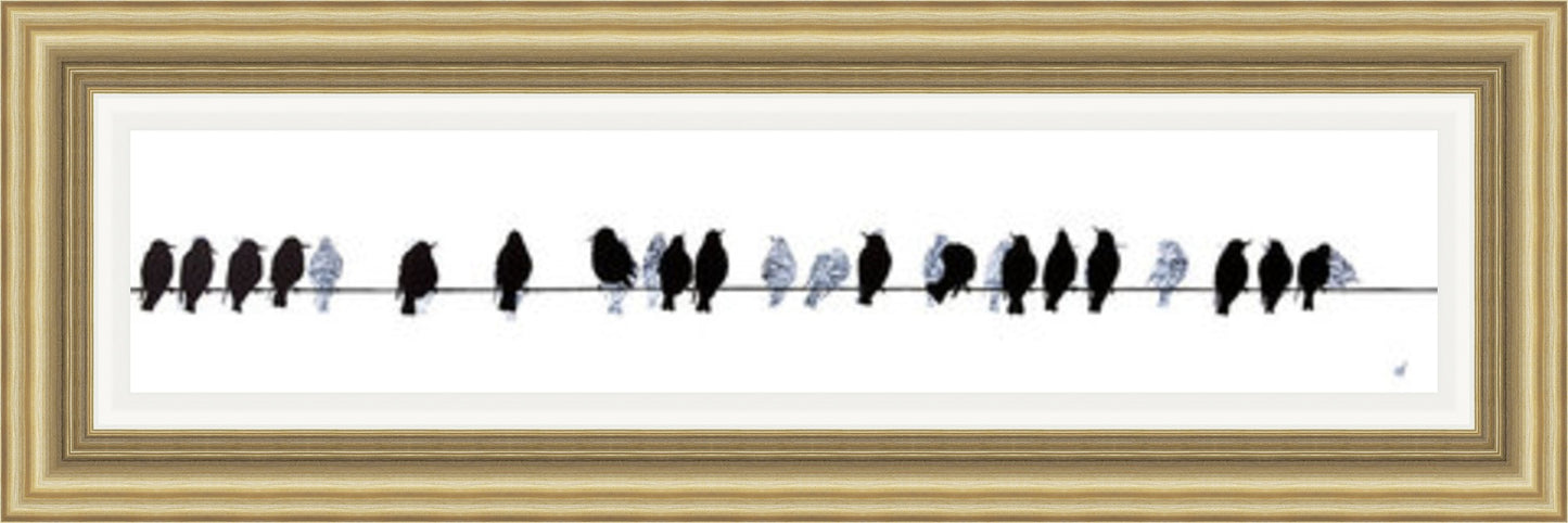 Starlings on a Telegraph Wire by Sandra Vick