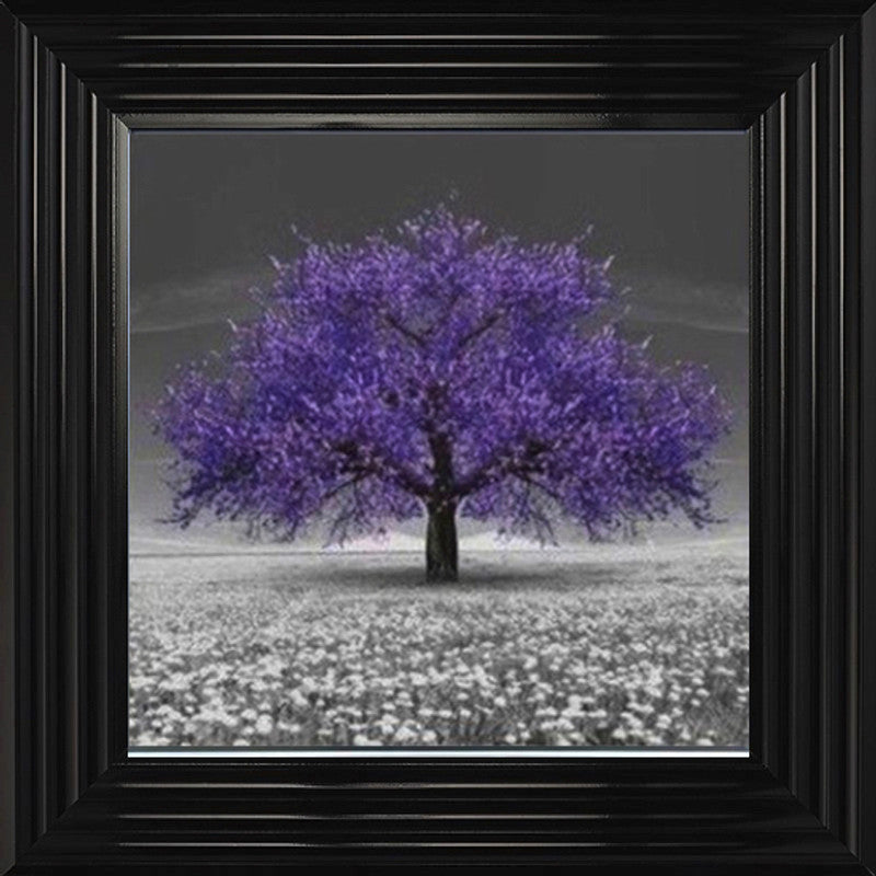 Purple Cherry Blossom Tree