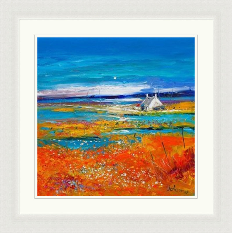 Machair Wild Cotton and Wild Flowers, South Uist by Jolomo