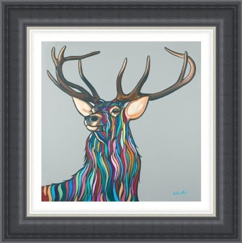 Highland Stag by Callum Nicol