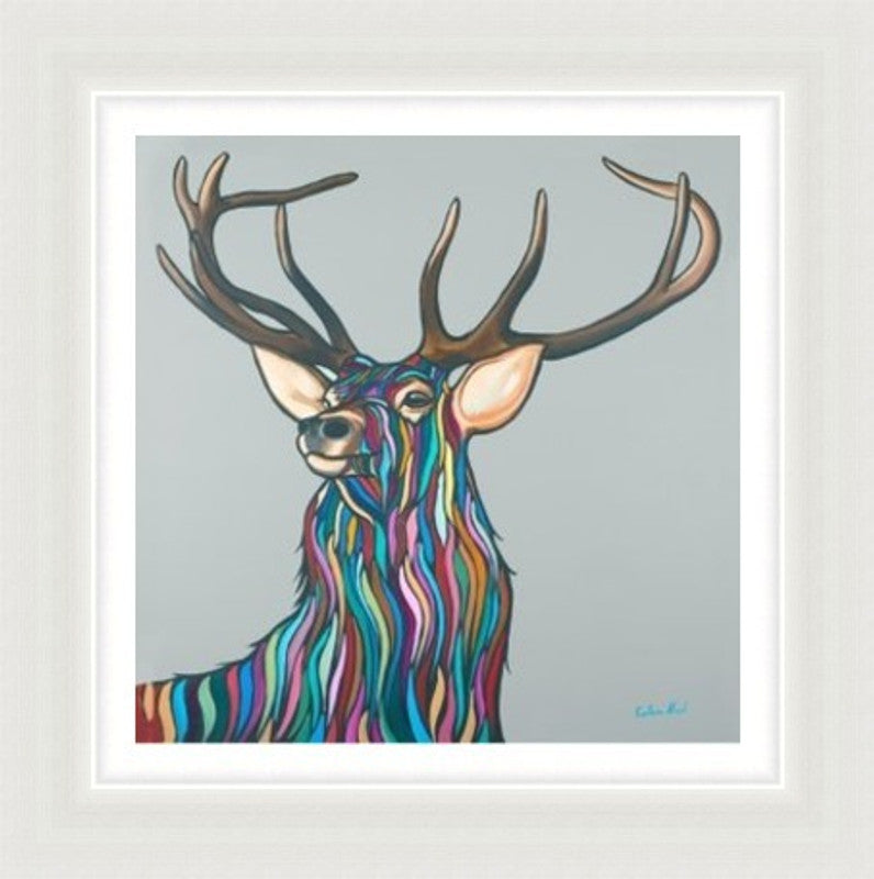 Highland Stag by Callum Nicol