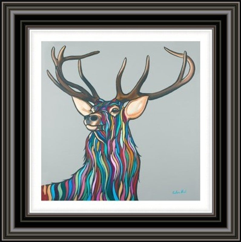 Highland Stag by Callum Nicol