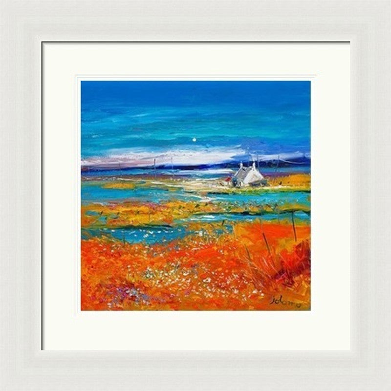 Machair Wild Cotton and Wild Flowers, South Uist by Jolomo