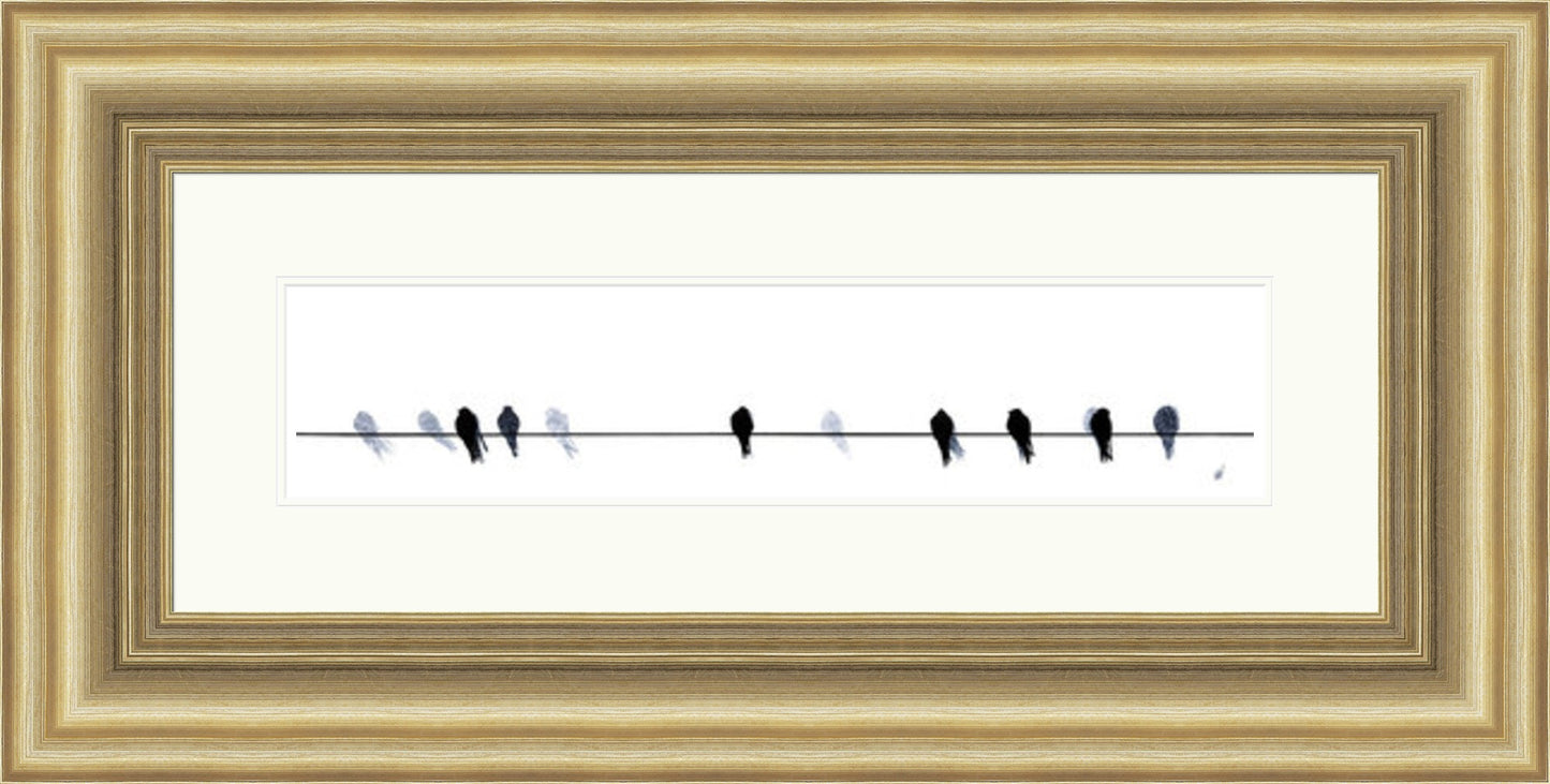 Swallows Waiting to Go by Sandra Vick
