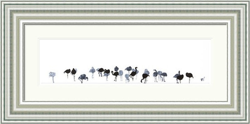 Flamingos by Sandra Vick