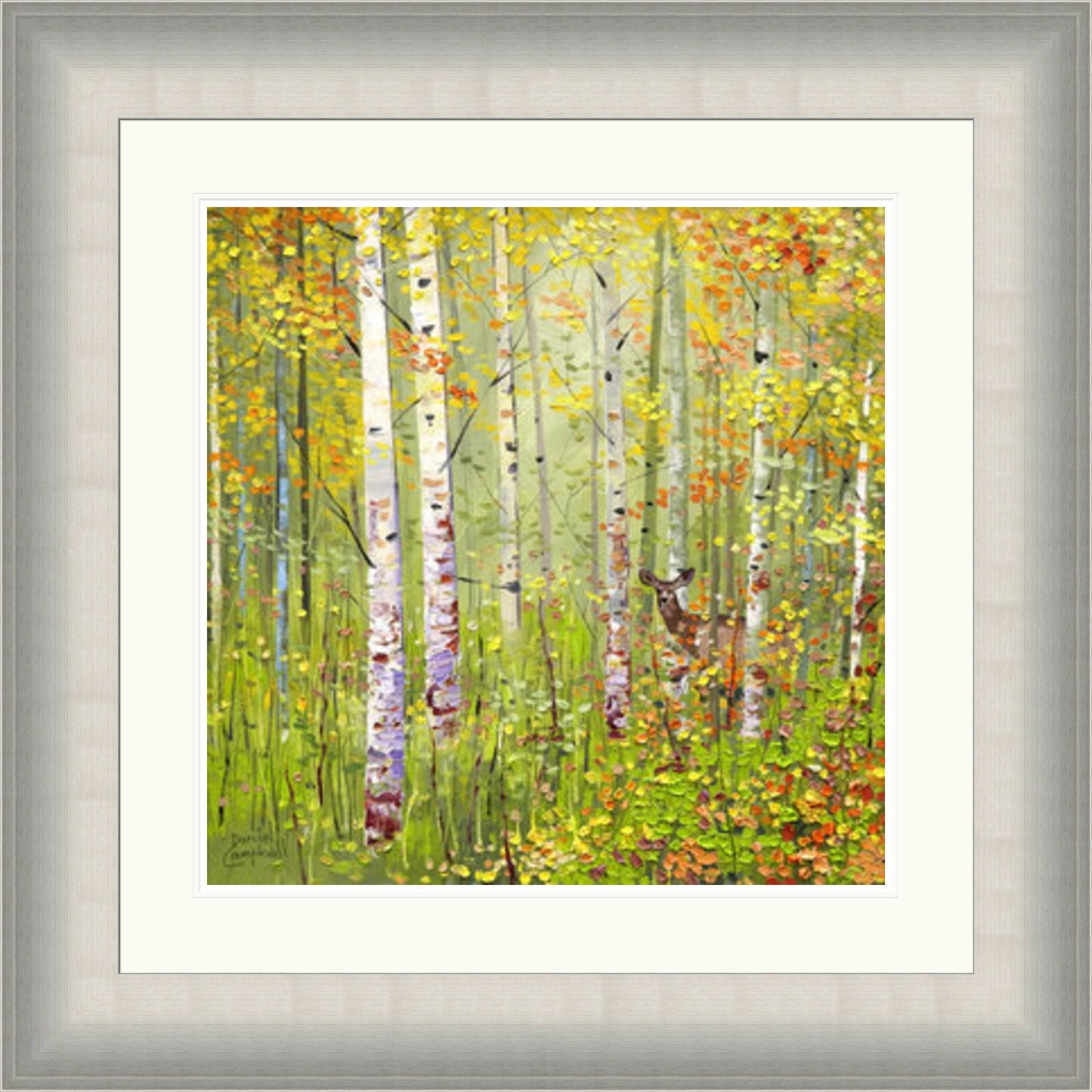 Silver Birches In Spring by Daniel Campbell