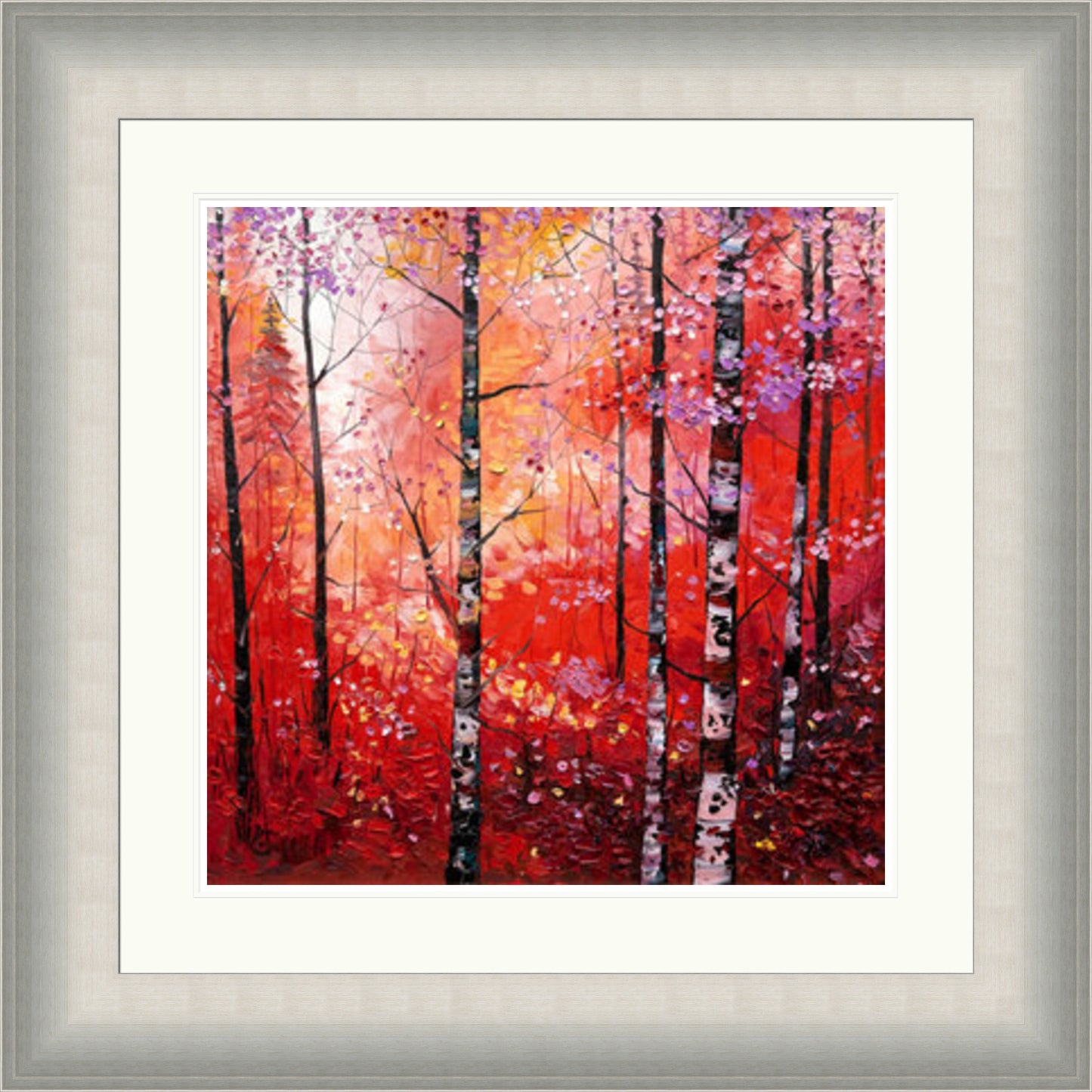 Silver Birches In Autumn by Daniel Campbell