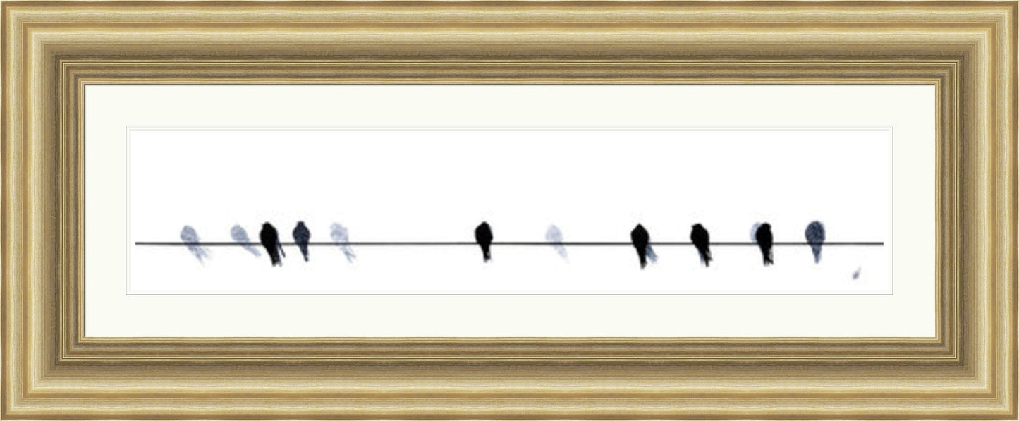 Swallows Waiting to Go by Sandra Vick