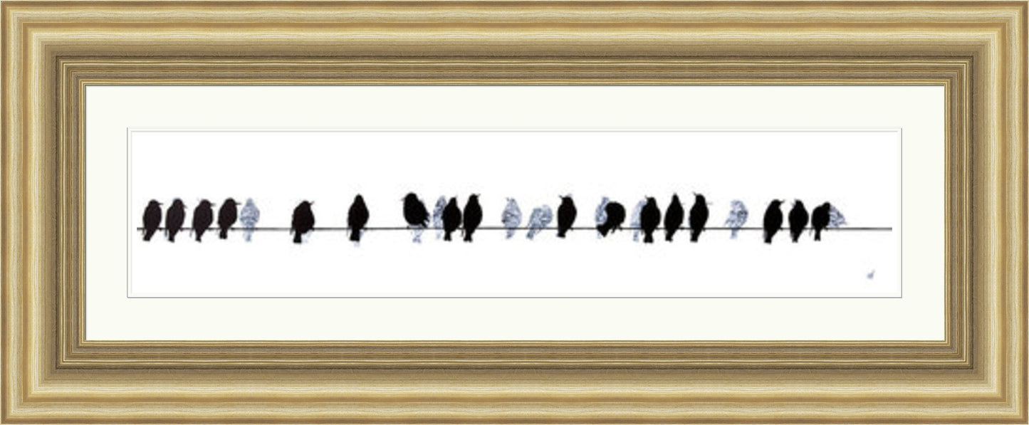 Starlings on a Telegraph Wire by Sandra Vick