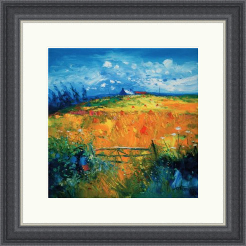 Hayfield, Isle of Gigha by Jolomo