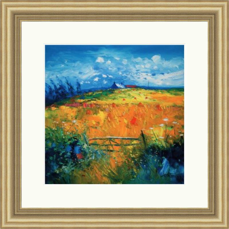 Hayfield, Isle of Gigha by Jolomo