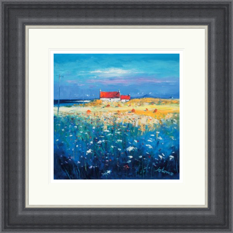 Hayfield, Isle of Tiree, Looking to Ben More by Jolomo