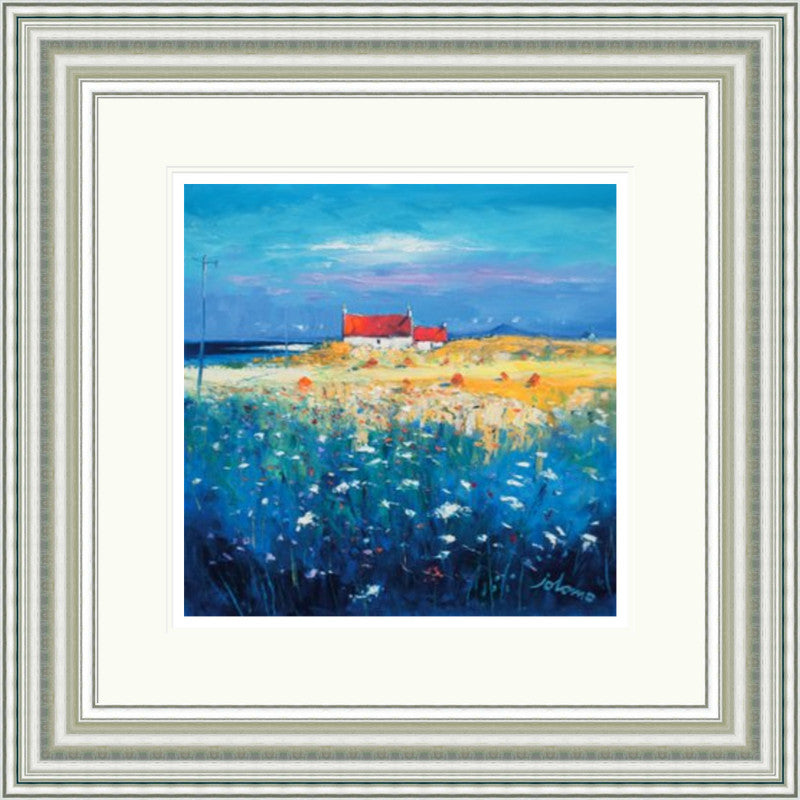 Hayfield, Isle of Tiree, Looking to Ben More by Jolomo