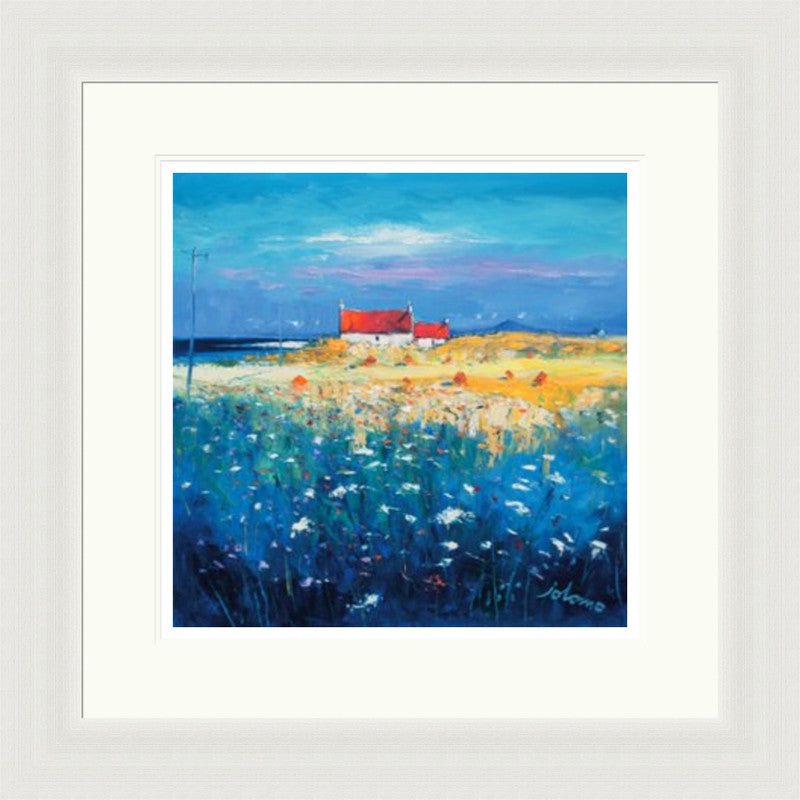 Hayfield, Isle of Tiree, Looking to Ben More by Jolomo