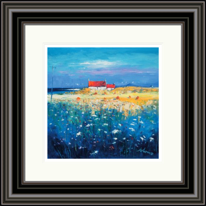 Hayfield, Isle of Tiree, Looking to Ben More by Jolomo