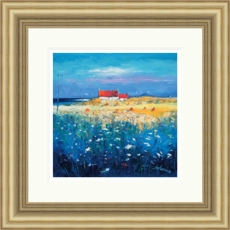 Hayfield, Isle of Tiree, Looking to Ben More by Jolomo