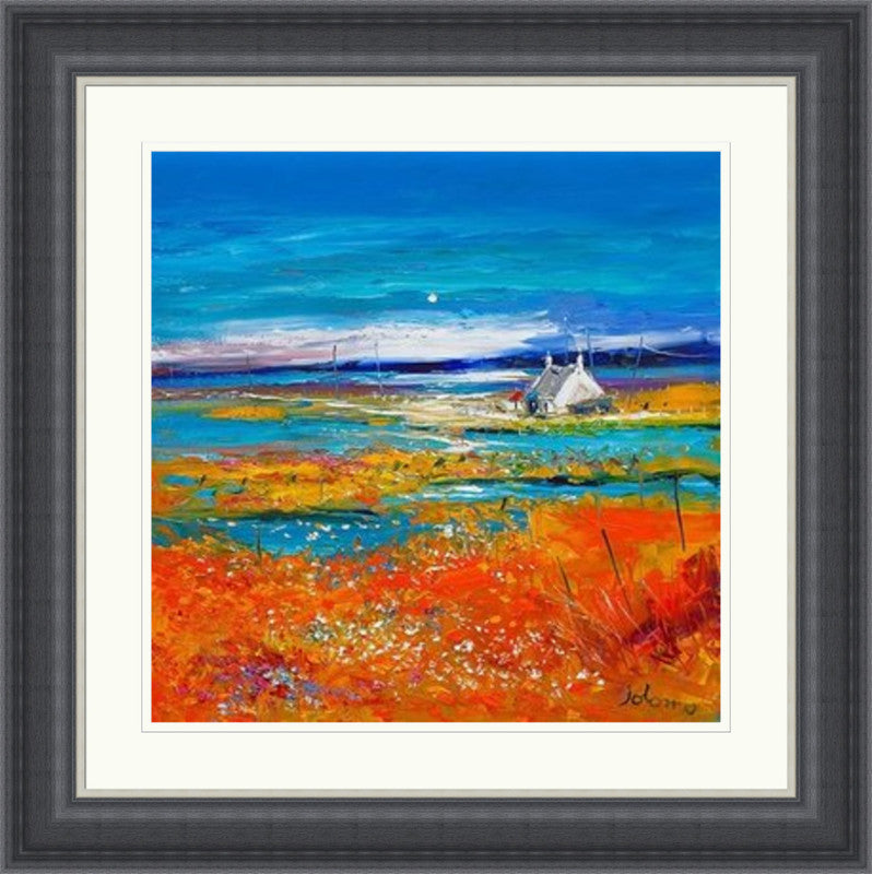 Machair Wild Cotton and Wild Flowers, South Uist by Jolomo
