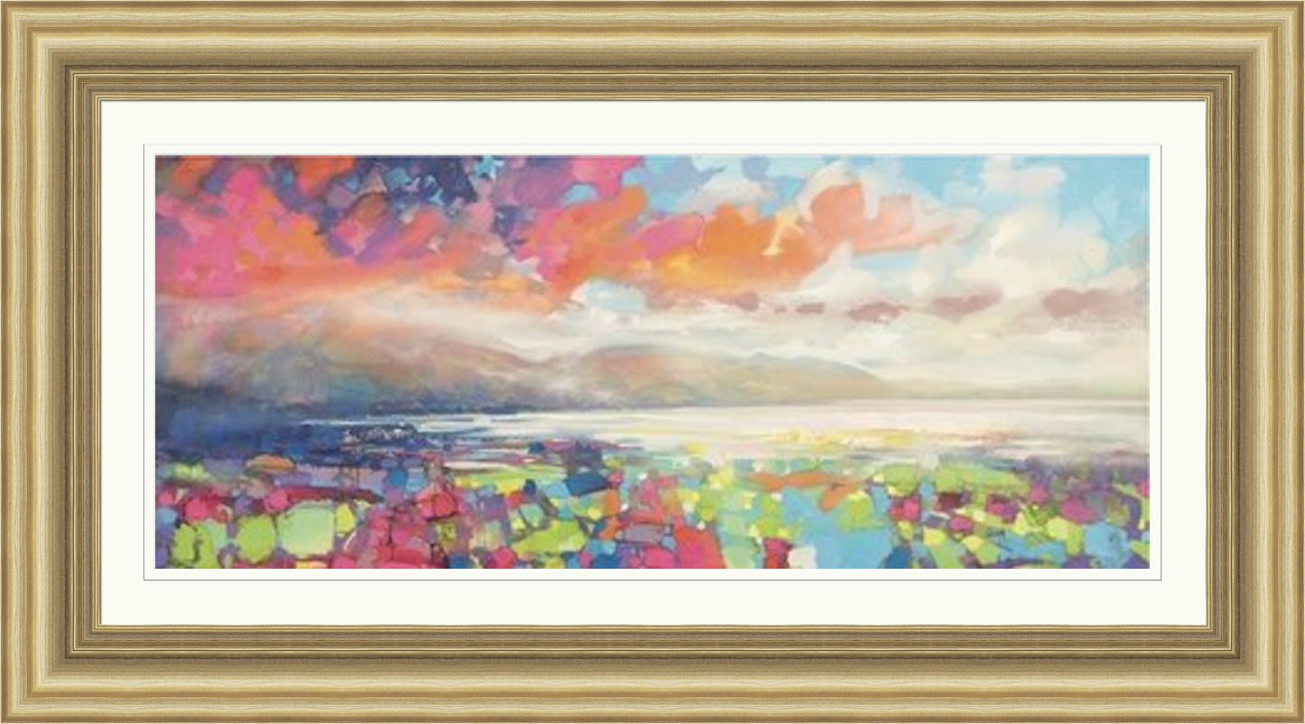 Resonant Colour by Scott Naismith