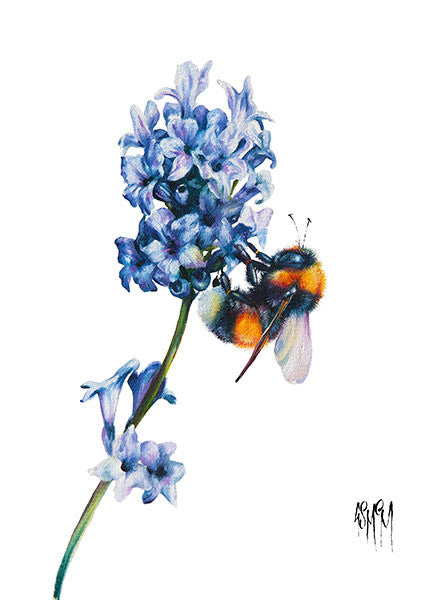 Going Solo (Limited Edition) By Georgina McMaster