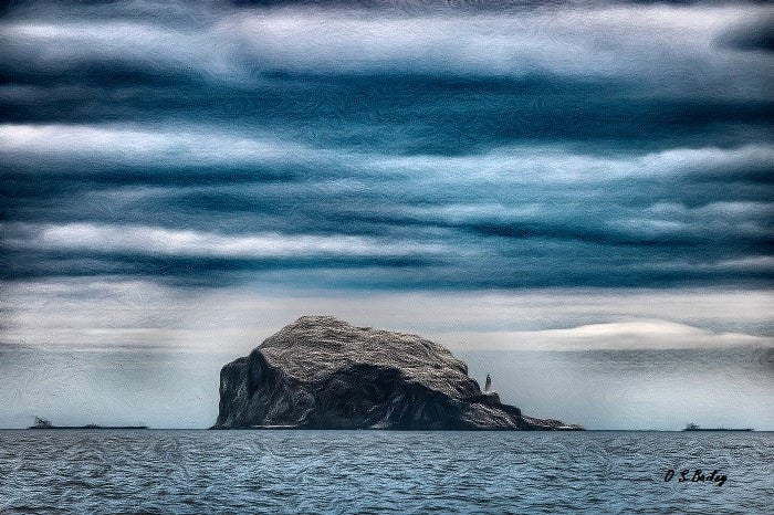 Bass Rock - Petite