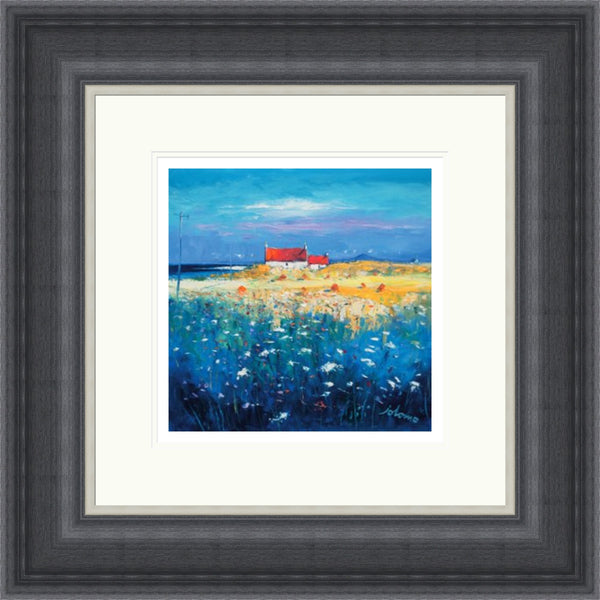 Hayfield, Isle of Tiree, Looking to Ben More by Jolomo