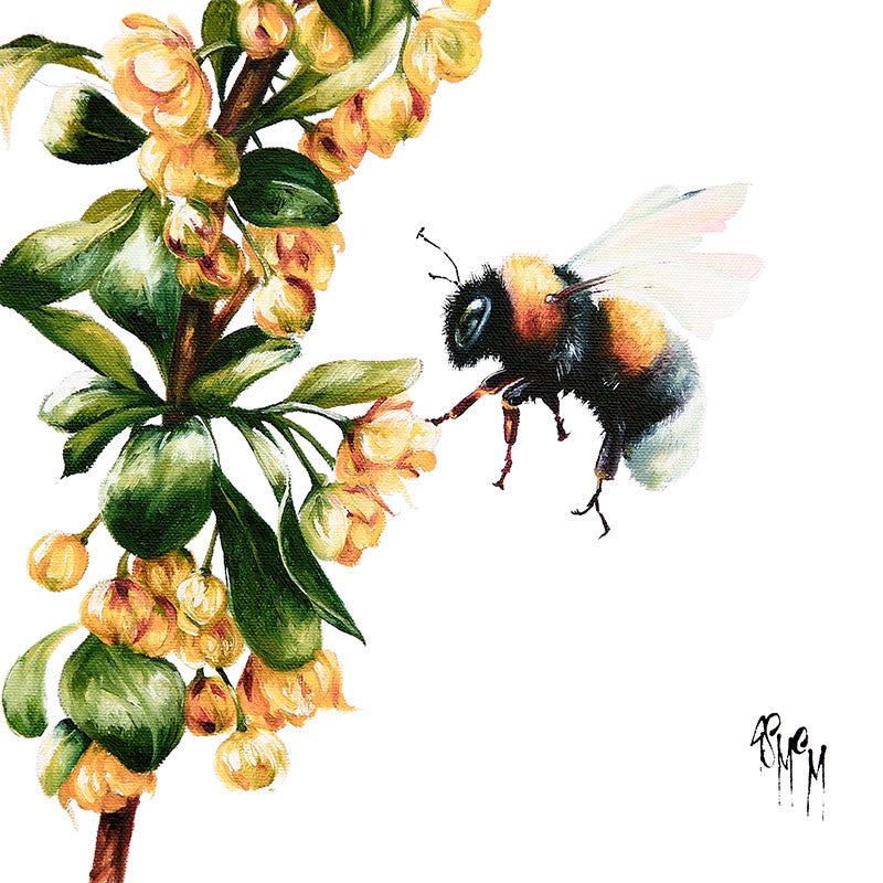 Arabesque (Limited Edition) By Georgina McMaster