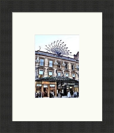 Princes Square - Petite