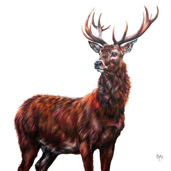 Livingston (Limited Edition) By Georgina McMaster