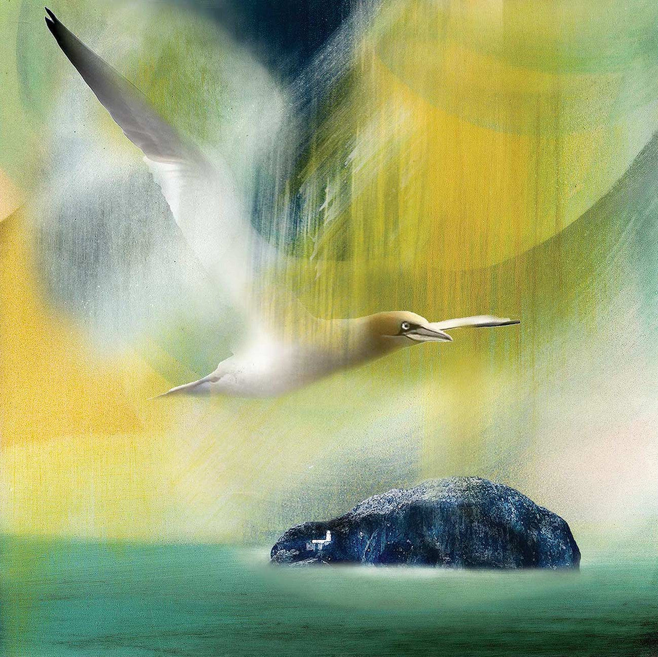 Belhaven Bass, Bird and Bass by Esther Cohen