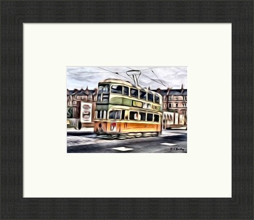 Tram, Colour - Petite