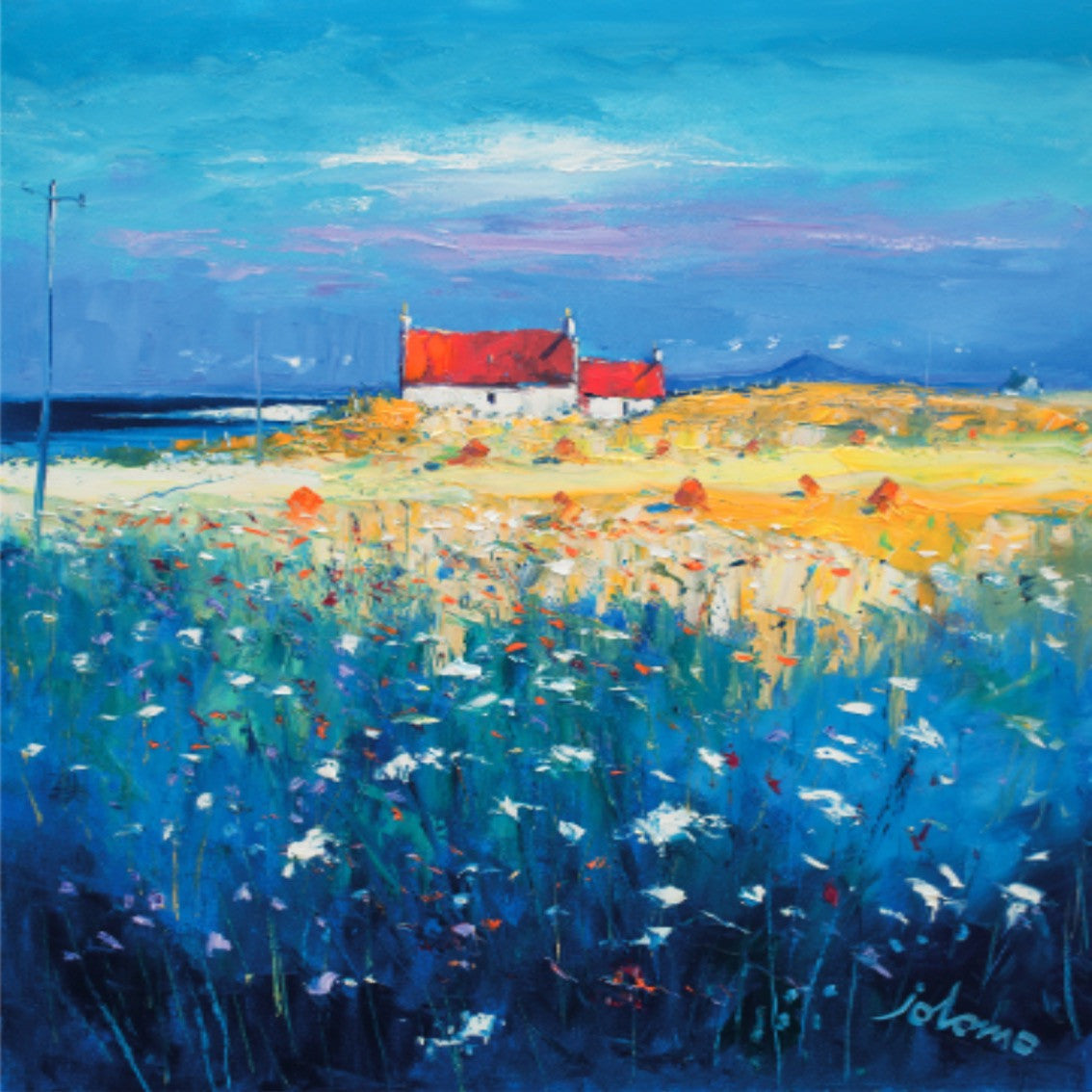 Hayfield, Isle of Tiree, Looking to Ben More by Jolomo