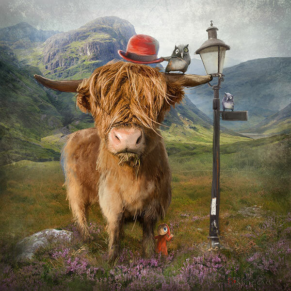 Highland Cow by Matylda Konecka - Petite